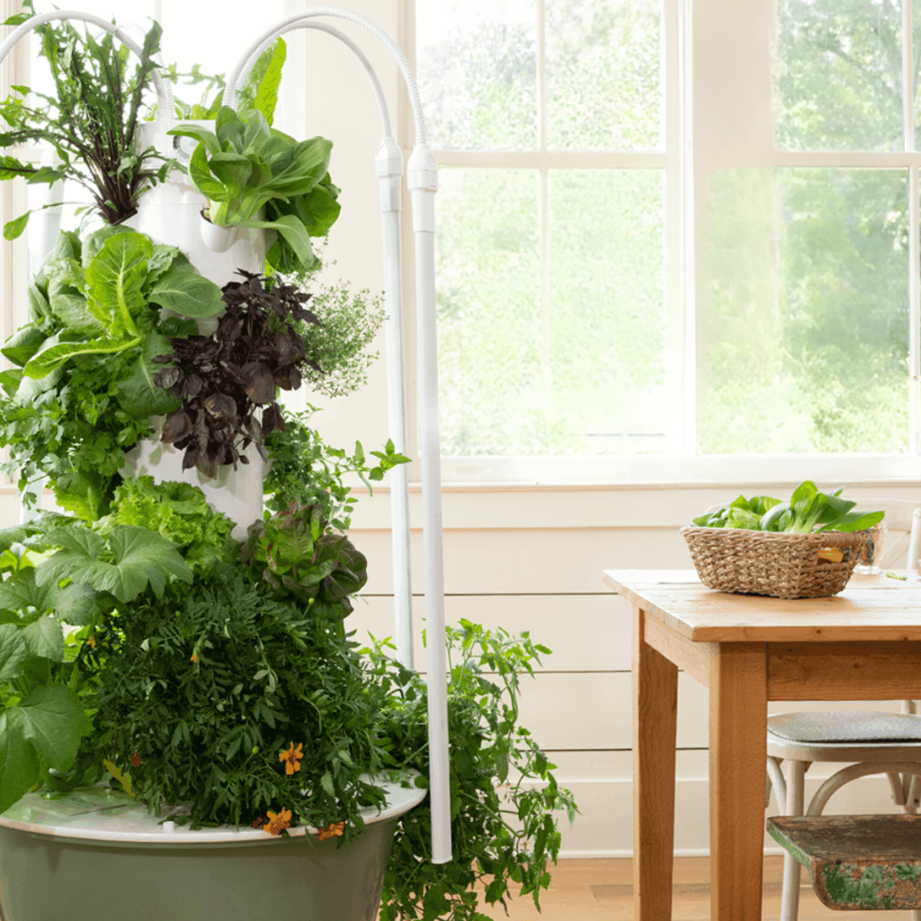 The Tower Garden is full of green vegetables in front of big bright windows.
