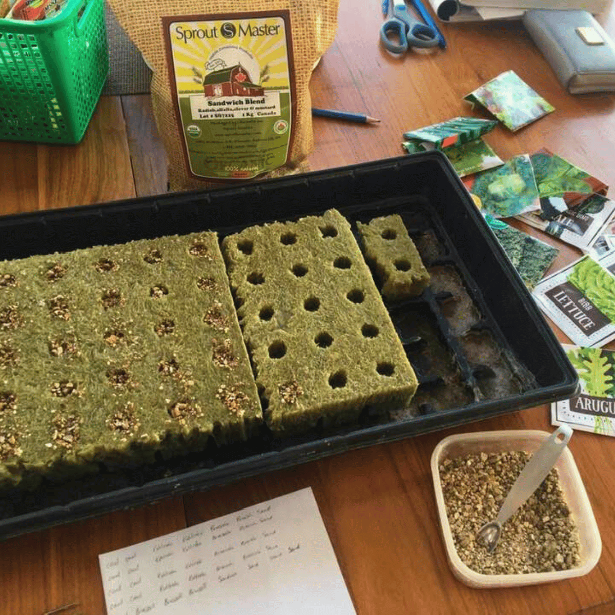 Tower Garden rock wool and seeds on a table.