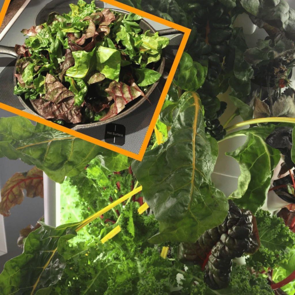 Up close picture of Tower Garden with leafy greens.