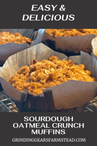 Upclose picture of sourdough oatmeal crunch muffin in a paper liner.