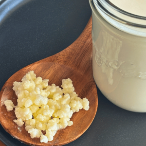 Wooden spoon with kefir grains beside a pint jar of milk kefir.