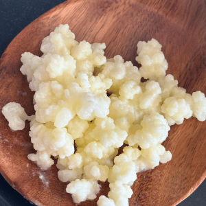 Wooden spoon with milk kefir grains.