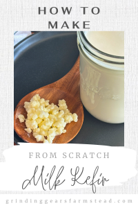 Pinterest Pin with milk kefir and grains.