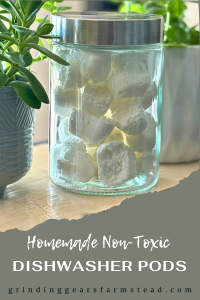 Pinterest Pin for Non-toxic Dishwasher Pods.