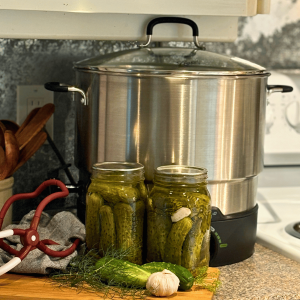 Two jars of dill pickles sitting in front of an electric canner.