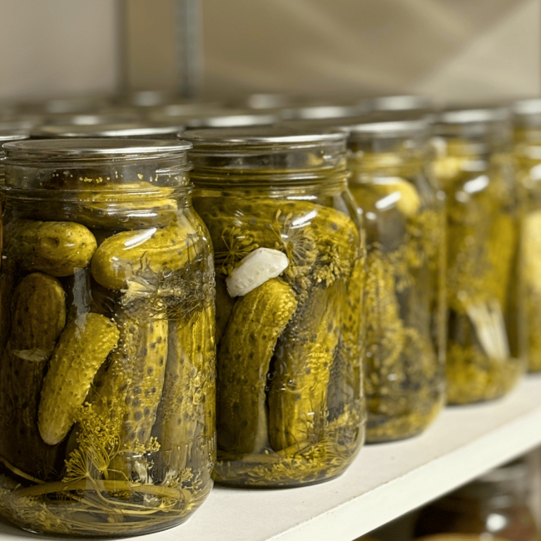 Row of jars full of dill pickles lined up on the shelf in the pantry.