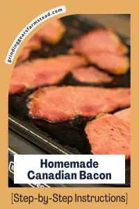 Pin graphic for Homemade Canadian Bacon pieces cooking on a griddle.