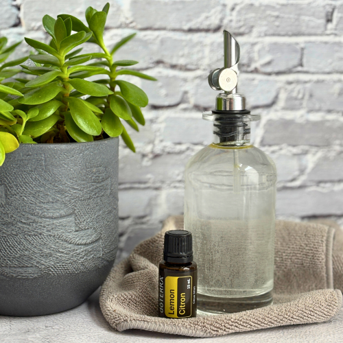 The Best All Natural Dishwasher Rinse Aid Recipe in a glass bottle next to a bottle of lemon essential oil and a plant in a grey pot.