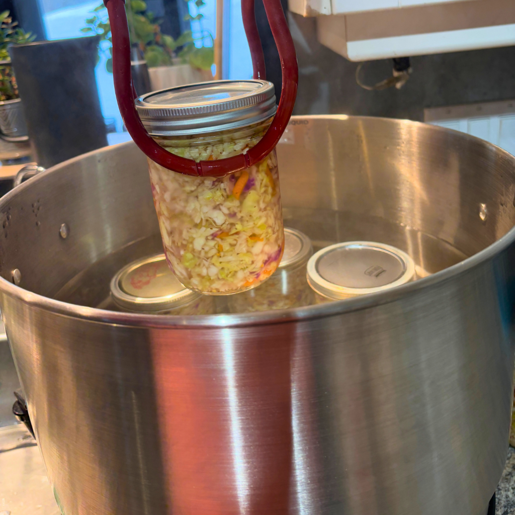 Canning lifter taking a Jar of Canned Coleslaw out of the water bath canner.