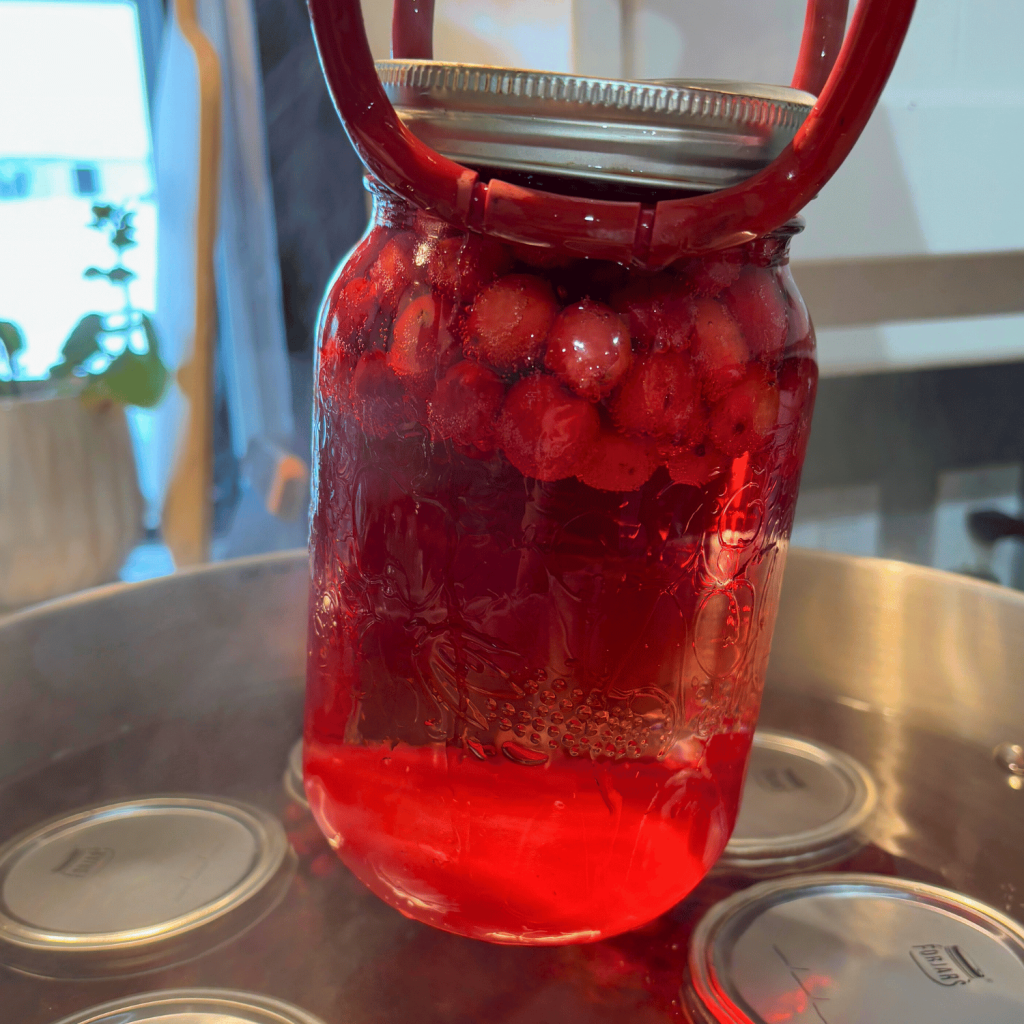 Picking a jar of canned cranberry juice out of the canner.