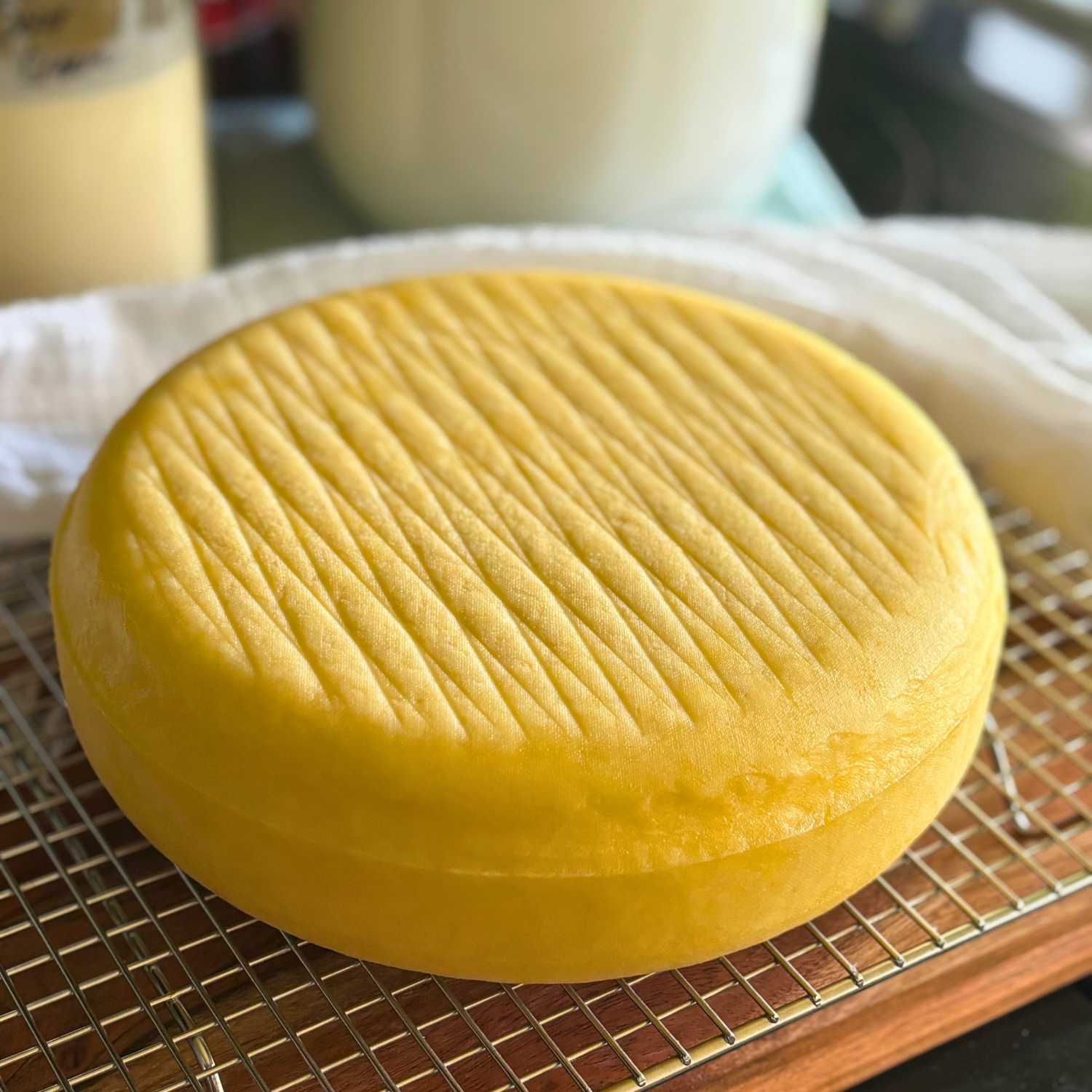 Home wheel of gouda cheese on a draining rack.