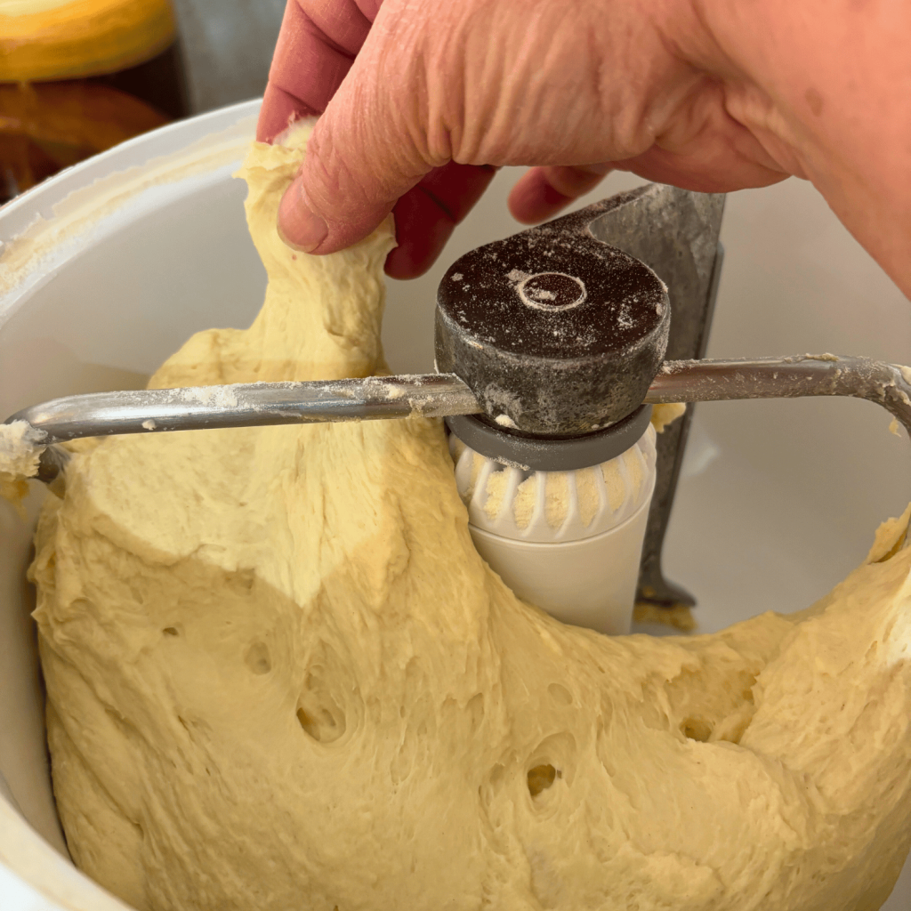 Sourdough discard sandwich bread dough in the Bosch mixing bowl.
