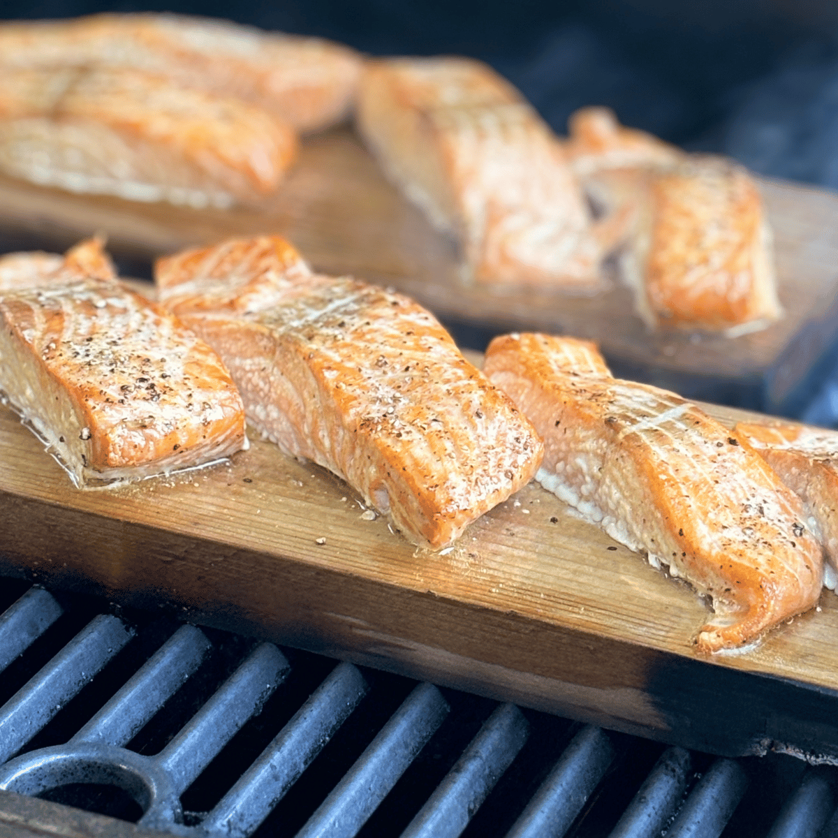Cedar Plank Salmon on the grill