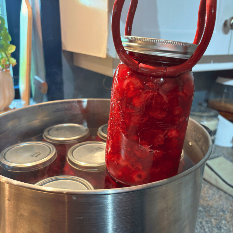 Quart jar of canned cherry pie filling being lifted out of the water bath canner.