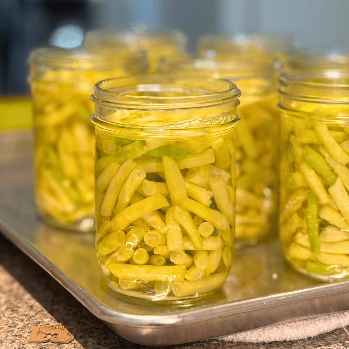 Jars with green and yellow beans and water ready for lids before hitting the canner