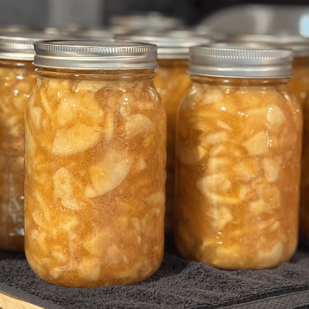 Quart jars of canned homemade apple pie filling cooling on the counter after coming out of the water bath canner.